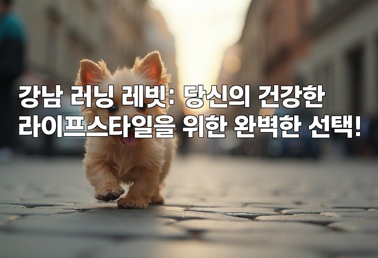 강남 러닝 레빗: 당신의 건강한 라이프스타일을 위한 완벽한 선택!