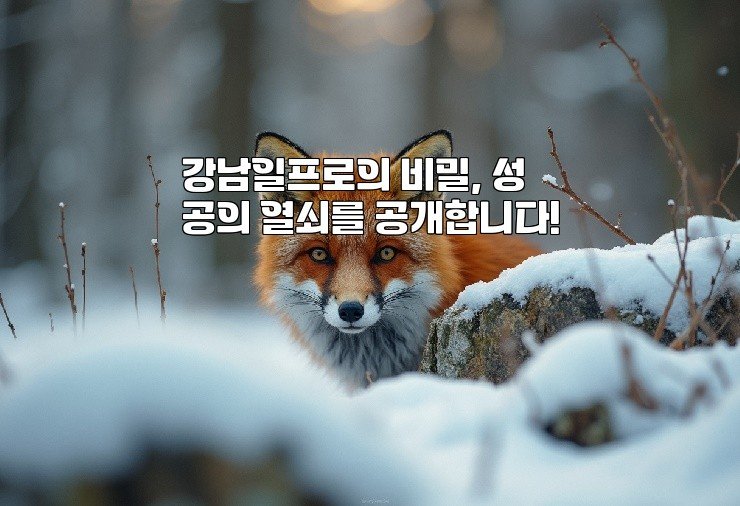 강남일프로의 비밀, 성공의 열쇠를 공개합니다!