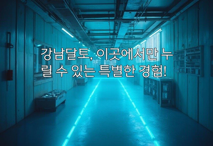 강남달토, 이곳에서만 누릴 수 있는 특별한 경험!