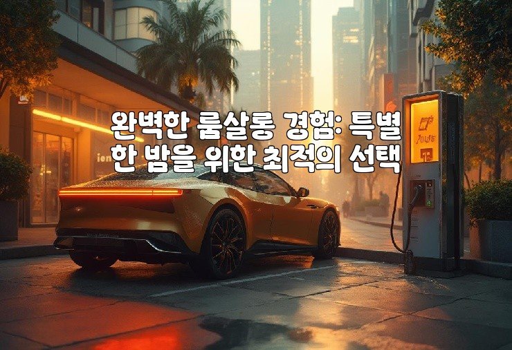 완벽한 룸살롱 경험: 특별한 밤을 위한 최적의 선택