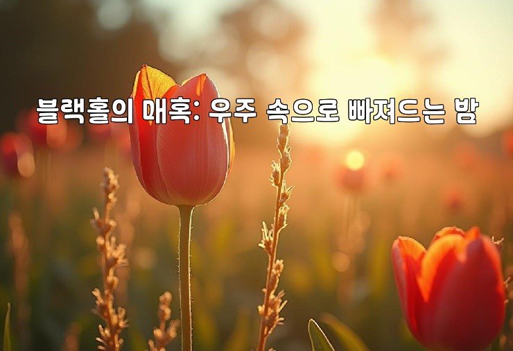 블랙홀의 매혹: 우주 속으로 빠져드는 밤