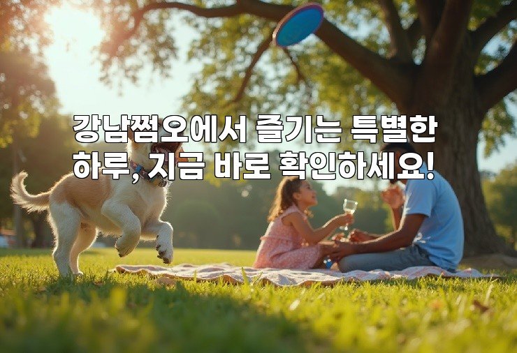 강남쩜오에서 즐기는 특별한 하루, 지금 바로 확인하세요!