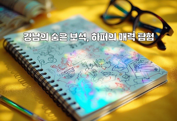 강남의 숨은 보석, 하퍼의 매력 탐험