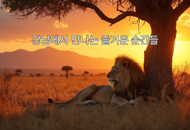 강남에서 만나는 즐거운 순간들