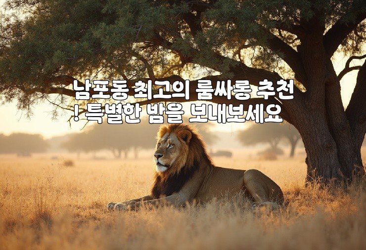 남포동 최고의 룸싸롱 추천! 특별한 밤을 보내보세요