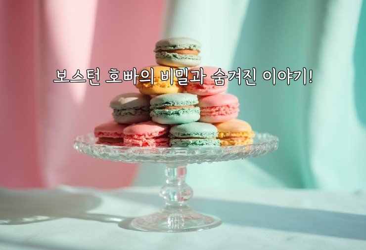 보스턴 호빠의 비밀과 숨겨진 이야기!